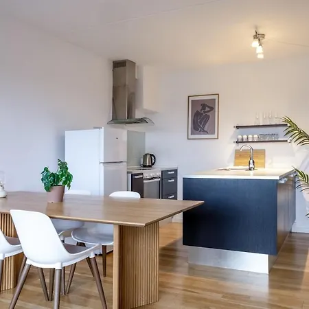 Luxe In Frederiksberg Close To Centrum